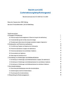 Bericht zum LkSG für SRH Holding, einschließlich Inhaltsverzeichnis und Strategien zur Risikomanagement und Verantwortung der Geschäftsleitung.